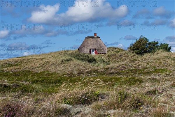 Small thatched house near Nymindegab in Denmark