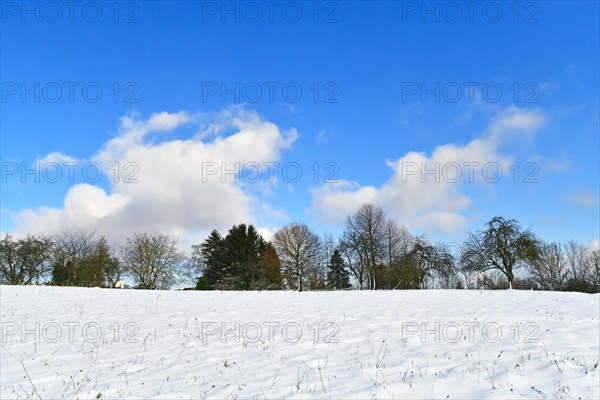 View of Odenwald in Germany clearing covered in snow during winter