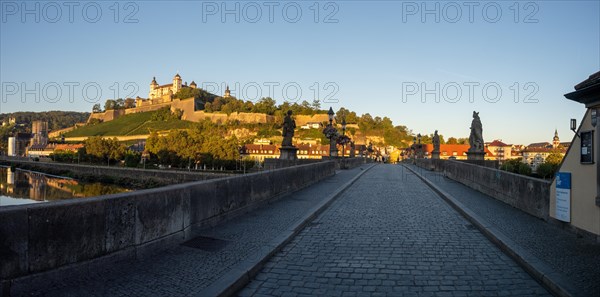 View from the old bridge over the river Main