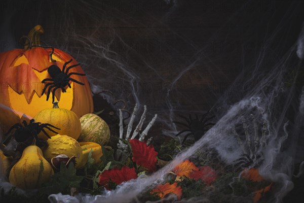 Halloween background with pumpkins