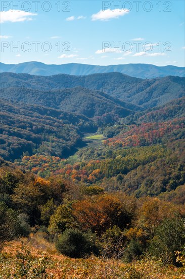 Gorgeous fall colors in the Artikutza natural park between Oiartzun and Lesaka. Basque Country