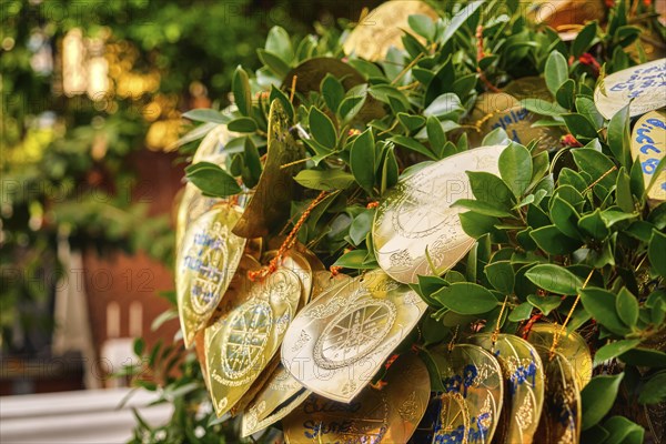 Traditional form of prayer in Thailand