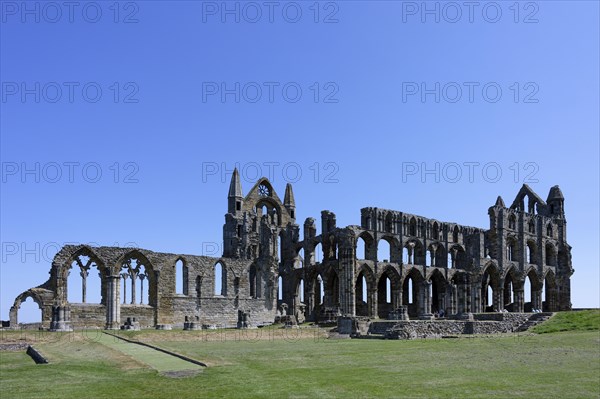 Whitby Abbey