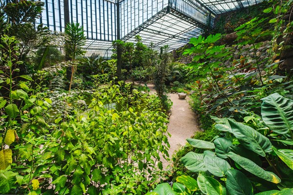 Interior view of the cold house Estufa Fria is a greenhouse with gardens