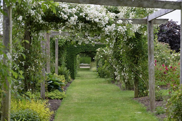 Walled Garden