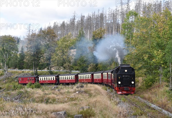 Harz narrow-gauge railway