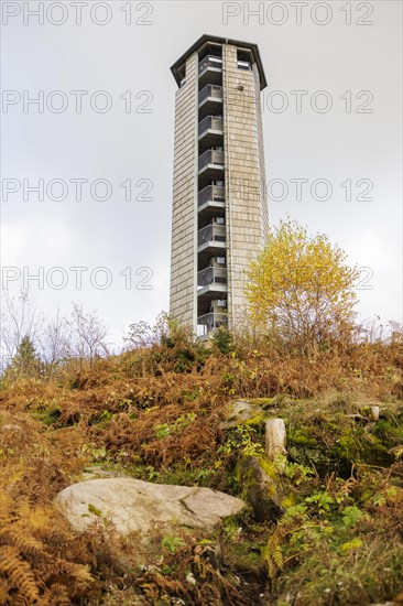 Lookout tower on the Buchkopf on an autumn day