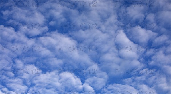 Cloudscape of altocumulus clouds