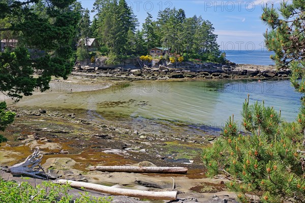 Beach and idyllic bay with transparent clear water