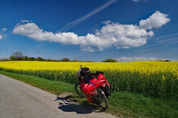 Packed bicycle standing on a narrow road in front of flowering rape fields