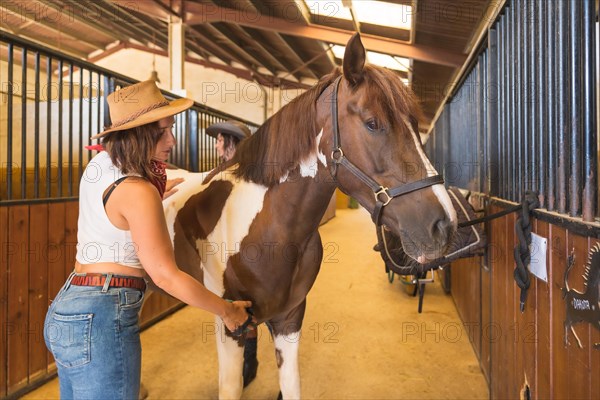 Two female cowboy working cleaning a horse in a stable