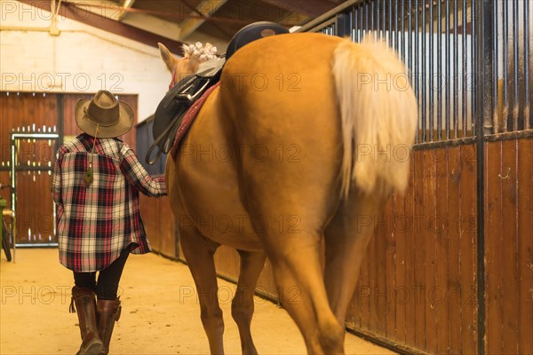 Portrait of an adult woman in a horse stable walking a brown horse