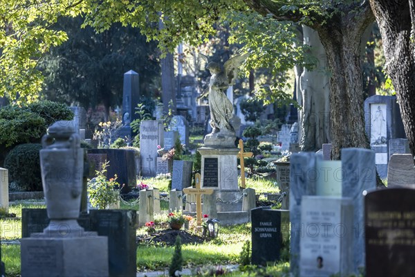 Prague Cemetery Stuttgart in autumn