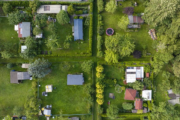 Allotment garden