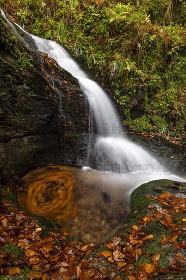 Waterfall in autumn forest