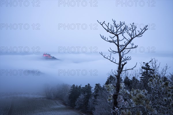 Hohenzollern Castle with Christmas lights in the fog from the Zeller Horn