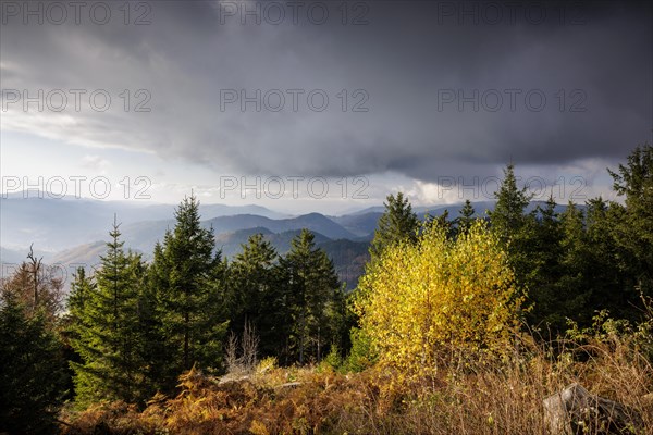 Autumn view from the Buchkopf