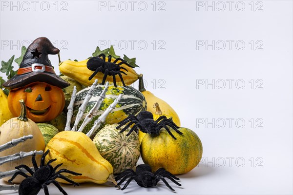 Various decorative pumpkins with ivy vine