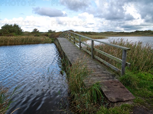 Small bridge over the lake