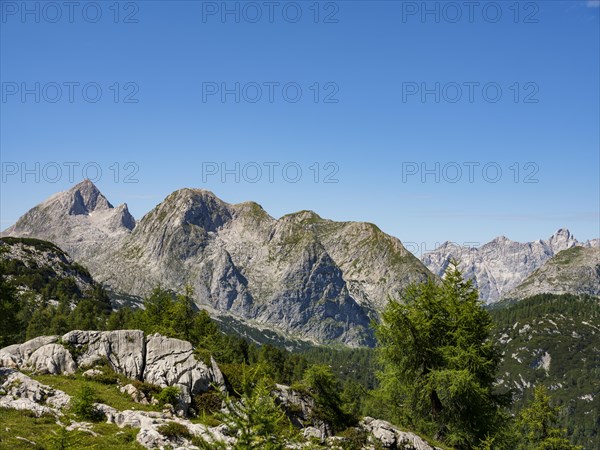 Alpine panorama