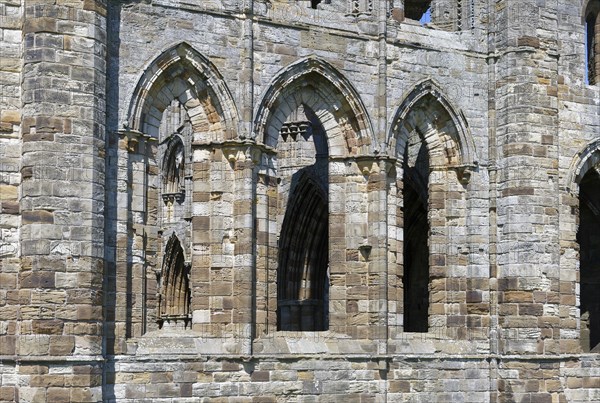 Whitby Abbey