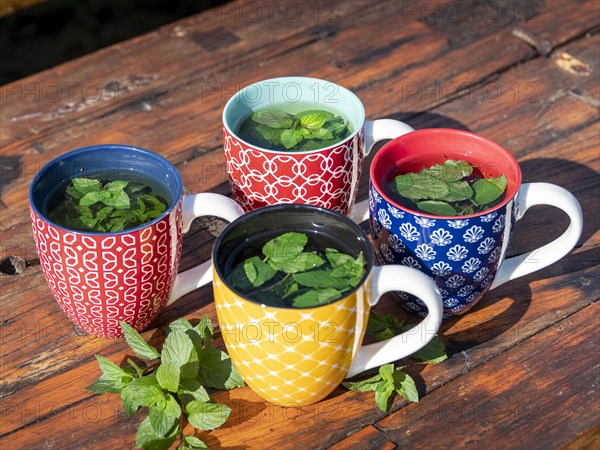 Fresh mint tea in colourful cups