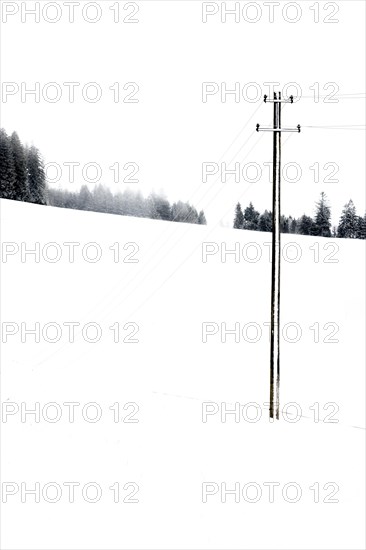 Power line snowed in