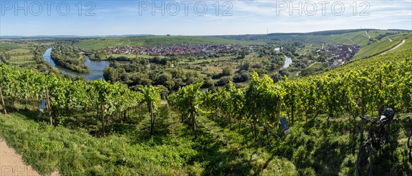 View from Vogelsburg Castle on the Main Loop