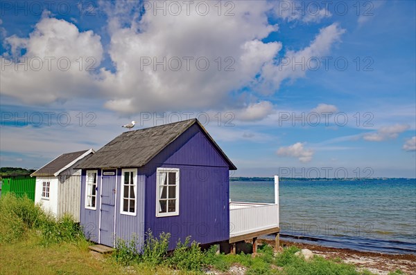 Colourful beach houses