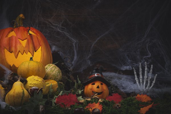 Halloween background with pumpkins
