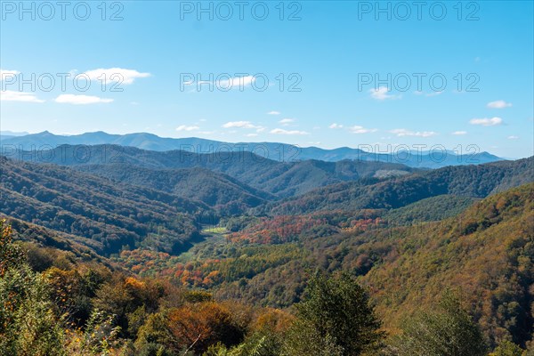 Gorgeous fall colors in the Artikutza natural park between Oiartzun and Lesaka. Basque Country