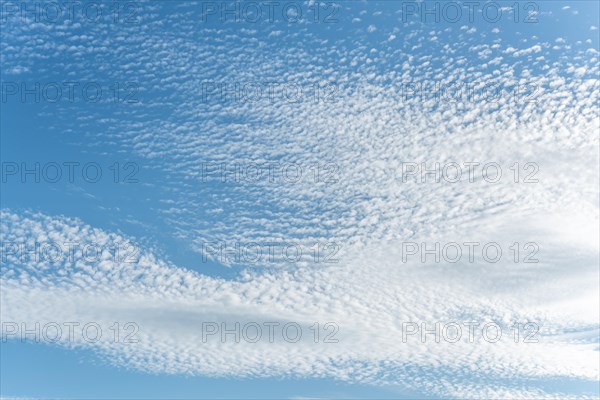 Mottled sky formed by Altocumulus stratiformis clouds. Bas-Rhin