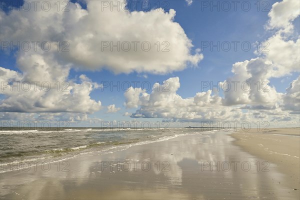 Water's edge between beach and North Sea