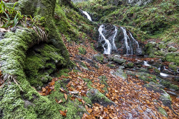 Waterfall in autumn forest