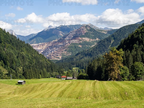 Freshly mown meadow in front of Eisenerzer Reichenstein and the Erzberg