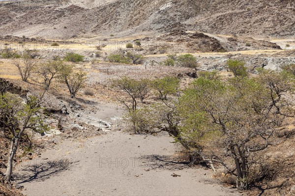 Landscape near the Organ Pipes