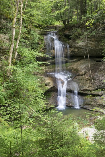 Mountain stream with waterfall a sight in Scheidegg