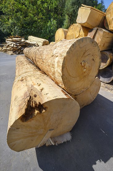 Stacked and debarked Baom logs in a sawmill