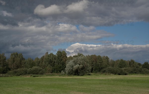 Early autumn at the city border in Luebars