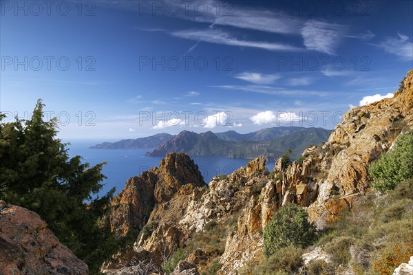 The Calanche a bizarre rocky landscape on the south coast of the Gulf of Porto in the Regional nature park Park of Corsica France Europe