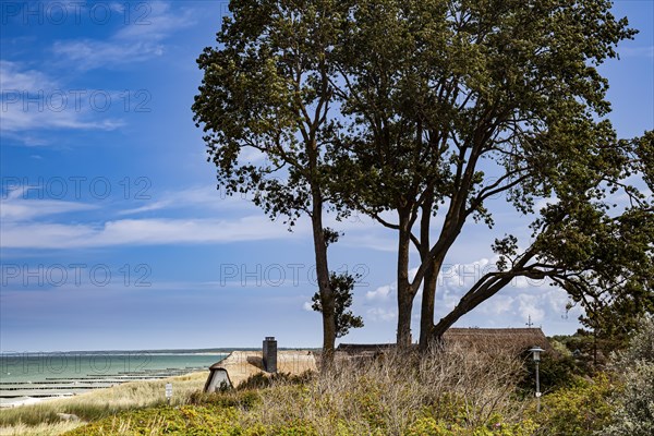 Coast near Ahrenshoop