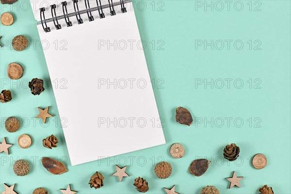 Empty notebook surrounded by seasonal decoration like wood slices and cones and Christmas star ornaments on mint green background