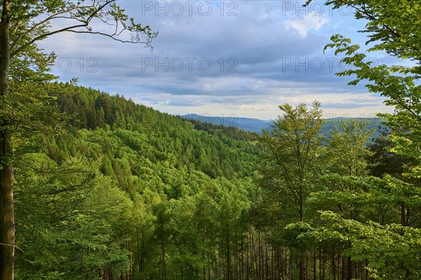 Low mountain landscape