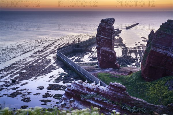 Lange Anna with cliffs on the high seas island of Helgoland