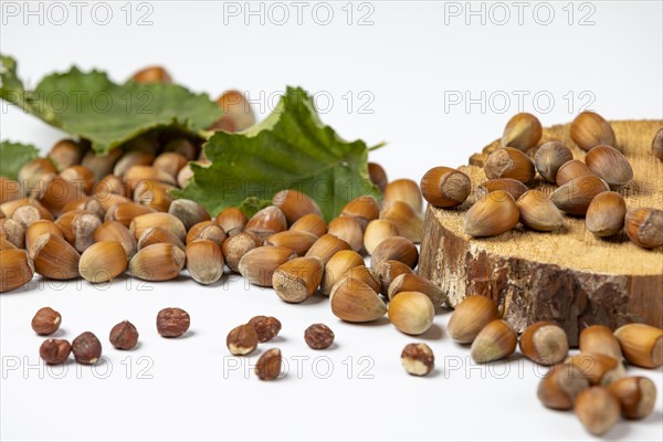 Hazelnuts in and without shell and hazelnut bush leaves