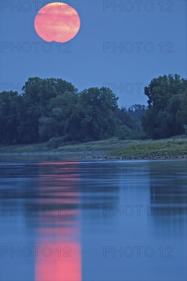 Blue Moon from 31.08.2023