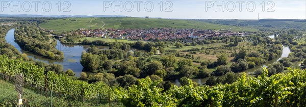 View from Vogelsburg Castle on the Main Loop