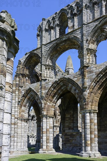 Whitby Abbey