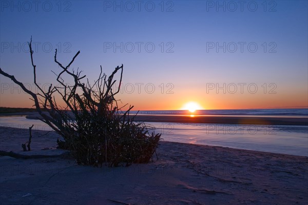 Sunset with driftwood in the foreground in Tversted