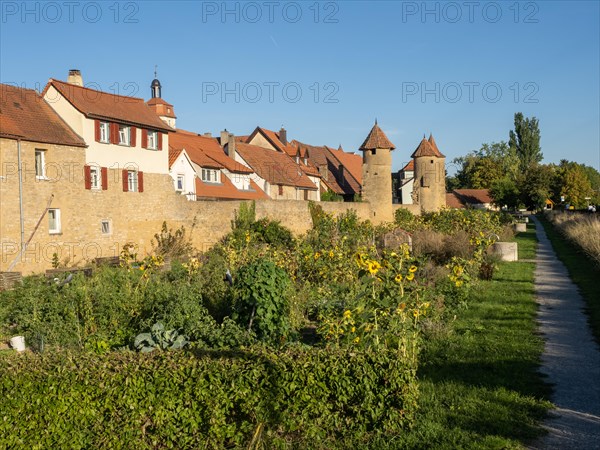 Part of the old town wall and towers